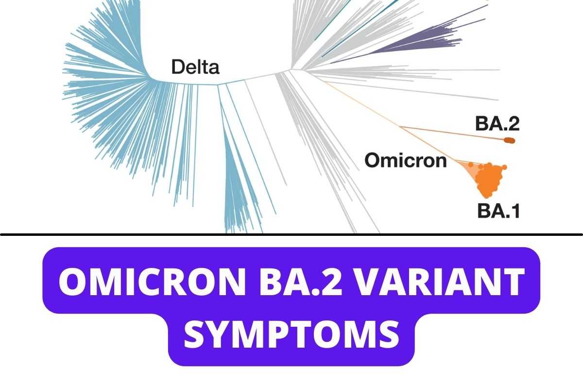 Omicron BA.2 Variant Symptoms