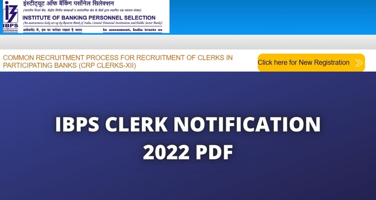 IBPS Clerk Notification 2022